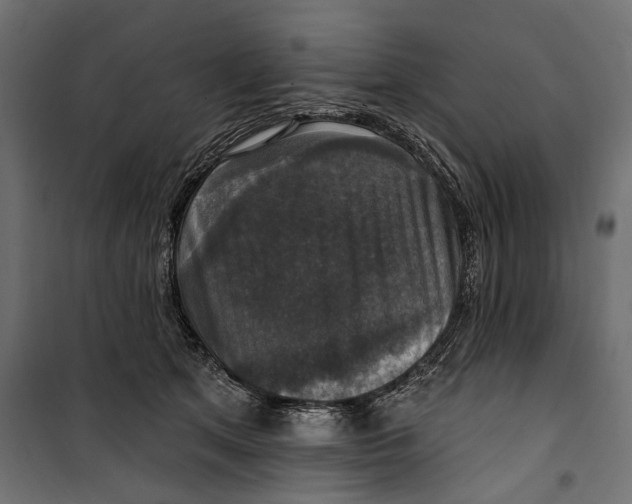 X0000099950513200806201316