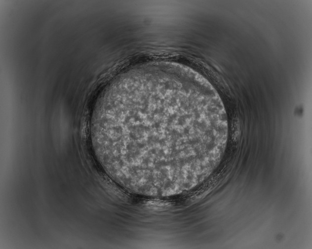 X0000099950515200806201316