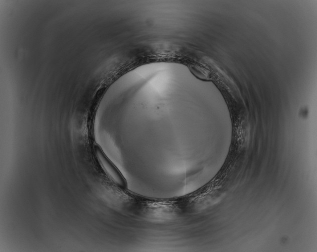 X0000099950516200806201316