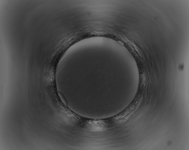 X0000099950517200806201316