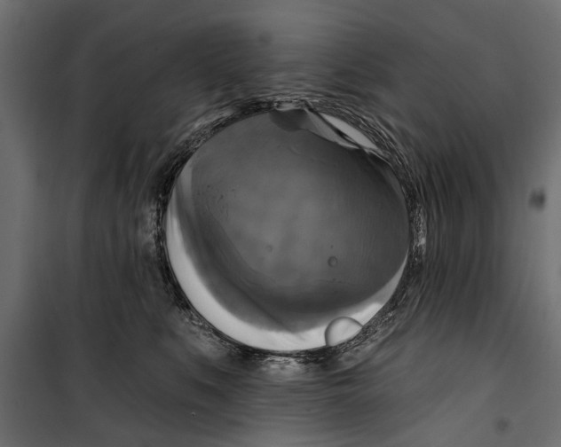 X0000099950519200806201316