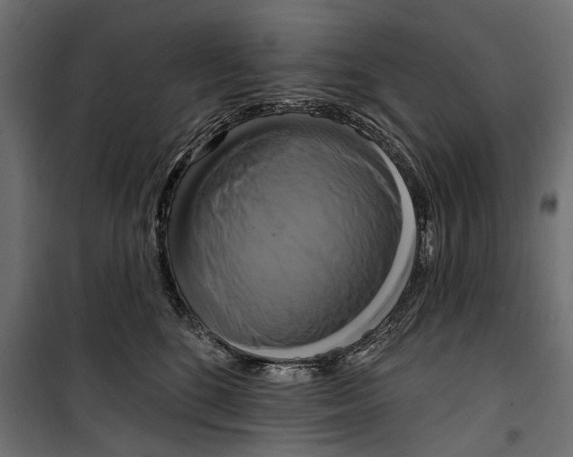 X0000099950520200806201316