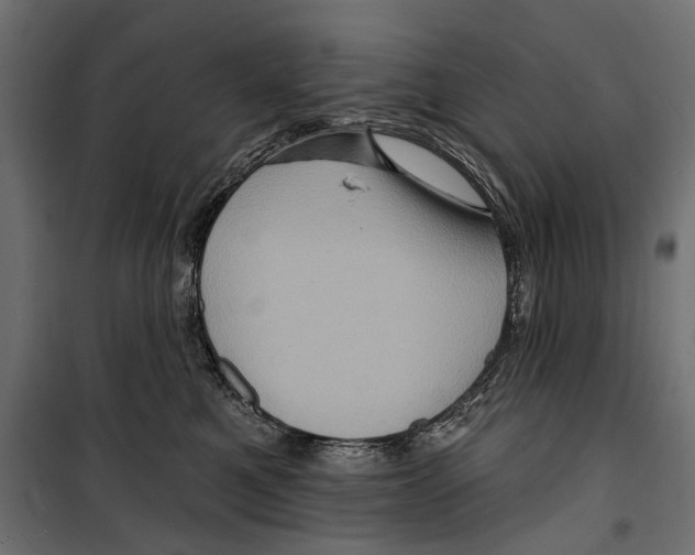 X0000099950521200806201316