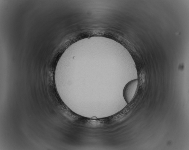 X0000099950522200806201316