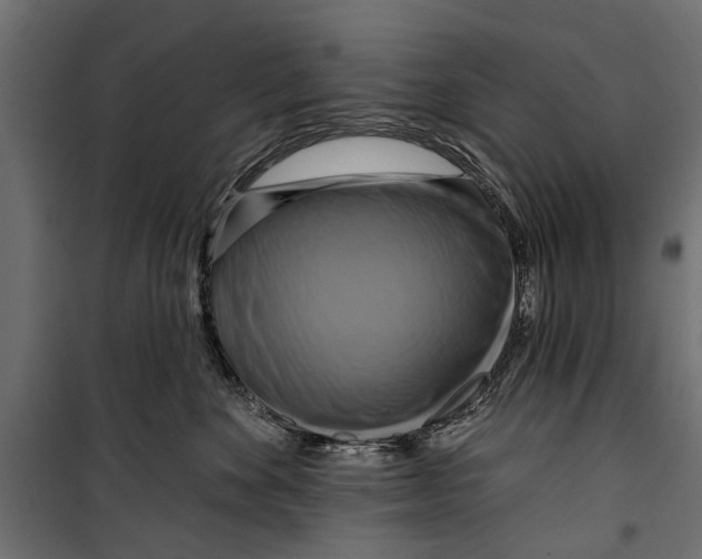 X0000099950524200806201316