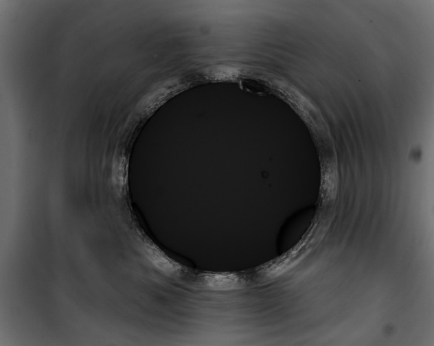 X0000099950525200806201316