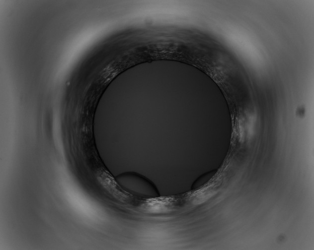 X0000099950526200806201316