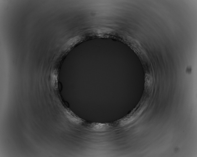 X0000099950527200806201316
