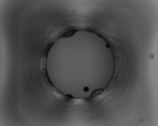 X0000099950528200806201316