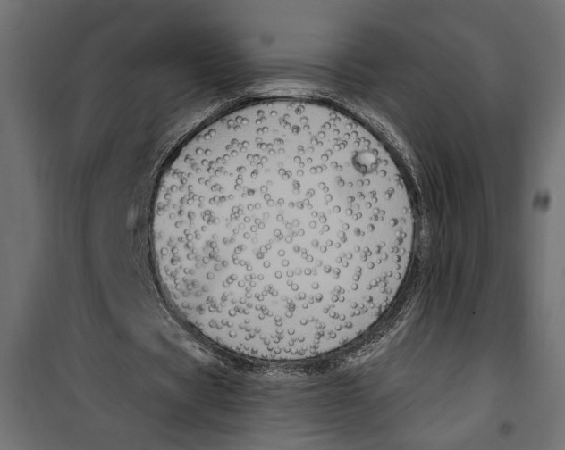 X0000099950529200806201315