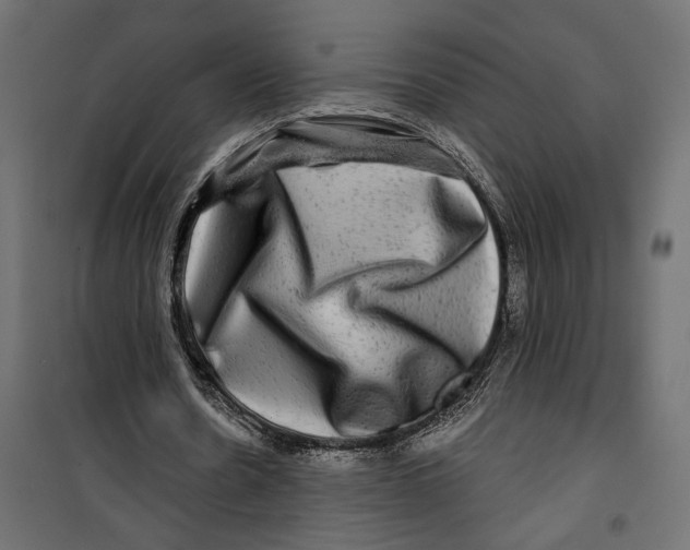 X0000099950530200806201315