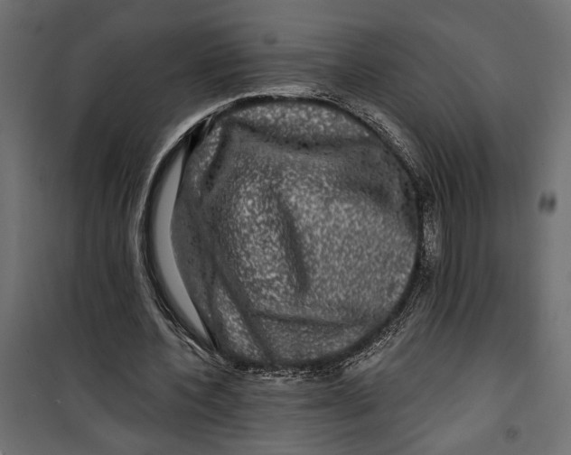 X0000099950532200806201315