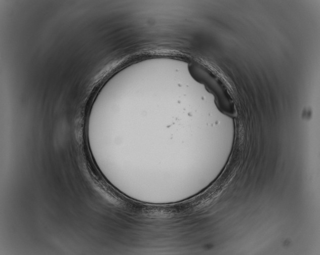 X0000099950533200806201315