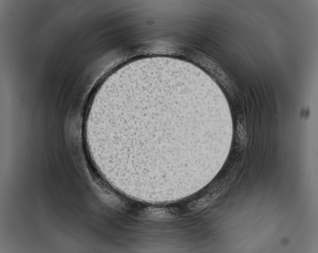 X0000099950534200806201315