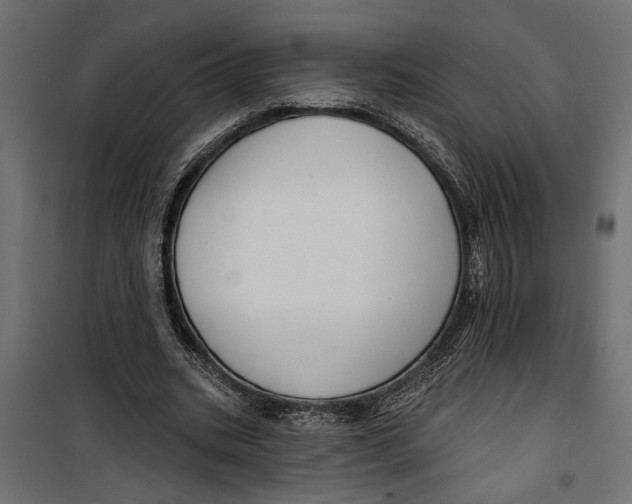 X0000099950535200806201315