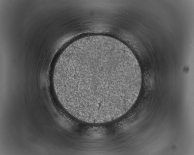 X0000099950536200806201315