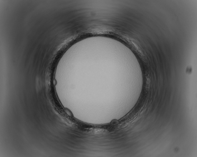 X0000099950539200806201315