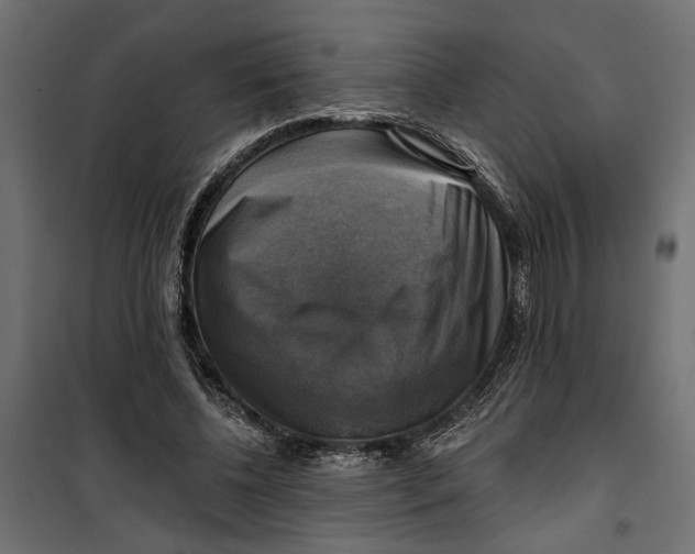 X0000099950540200806201315
