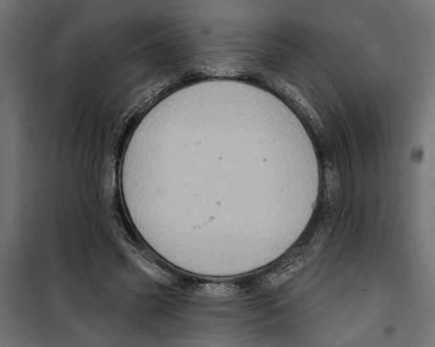 X0000099950541200806201315