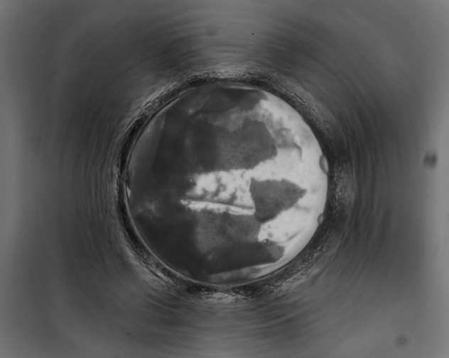 X0000099950542200806201315