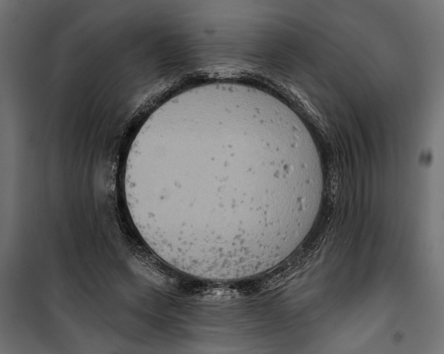 X0000099950543200806201316