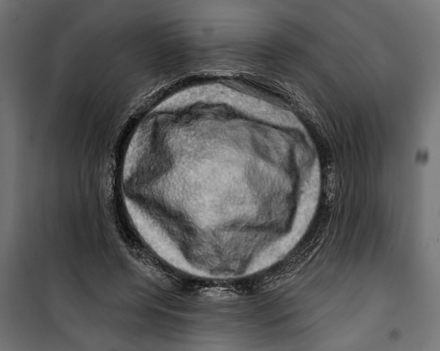 X0000099950544200806201316