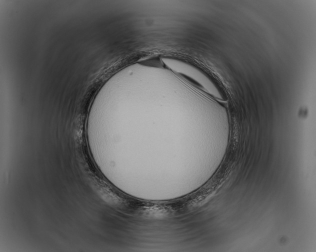 X0000099950545200806201316