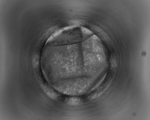 X0000099950546200806201316