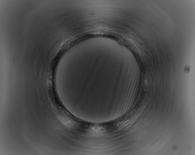 X0000099950547200806201316