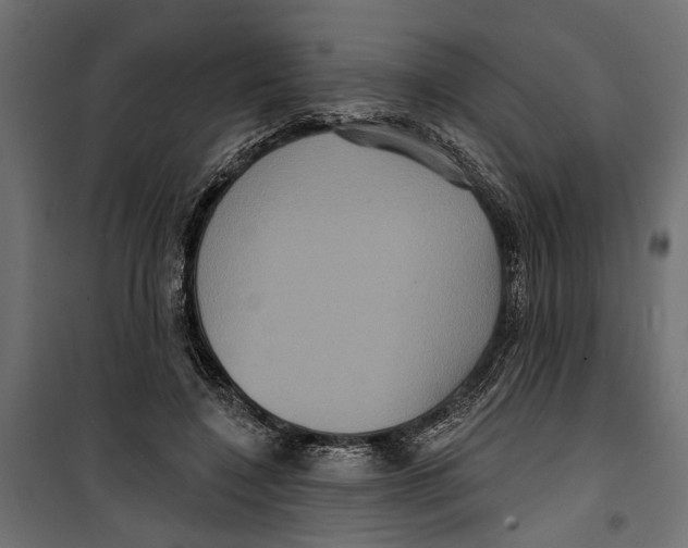 X0000099950548200806201316