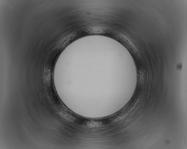X0000099950549200806201316