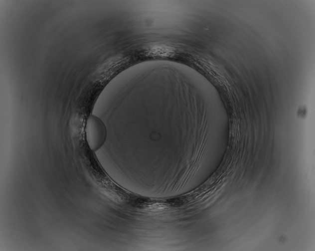 X0000099950551200806201316