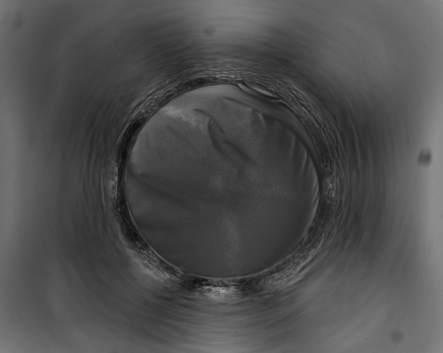 X0000099950552200806201316
