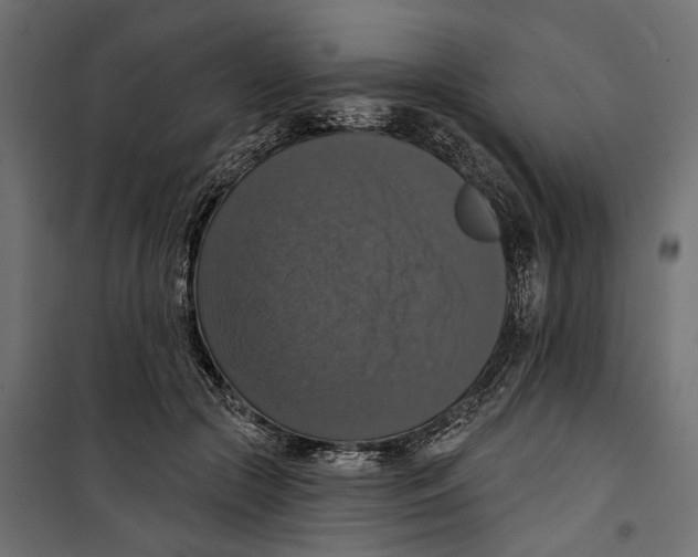 X0000099950553200806201316