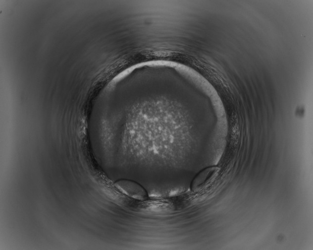 X0000099950555200806201316