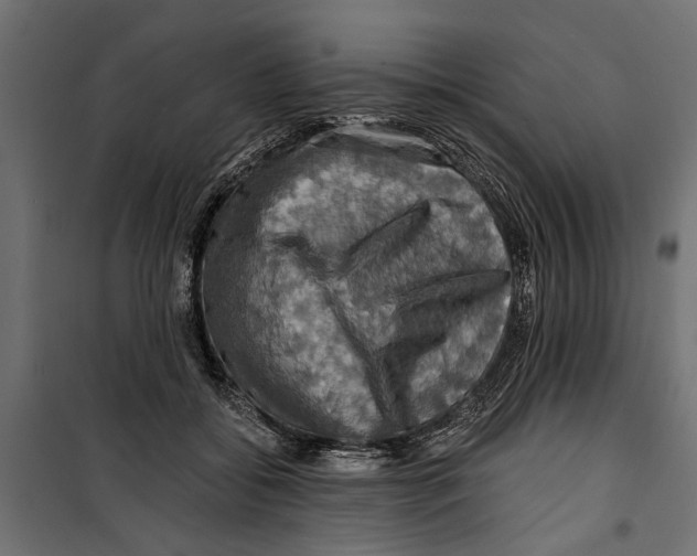 X0000099950556200806201316