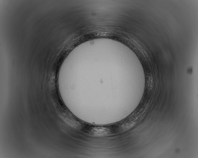 X0000099950557200806201316