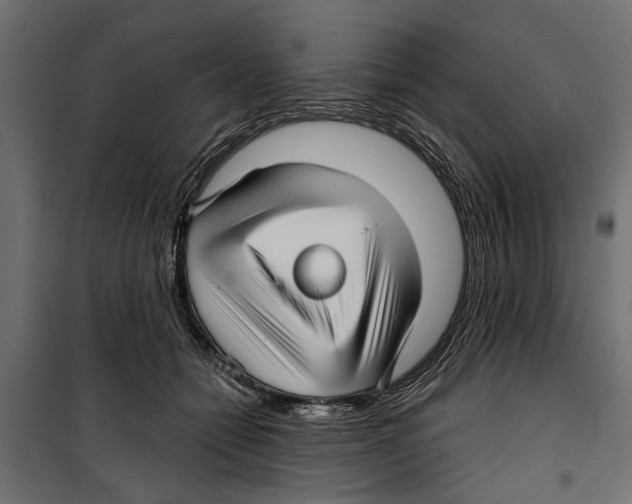 X0000099950558200806201316