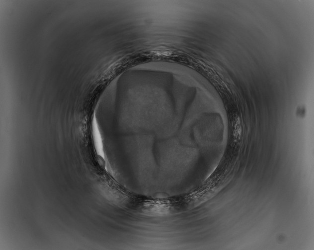 X0000099950559200806201316