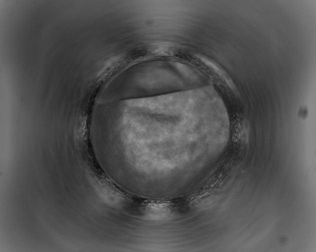 X0000099950560200806201316