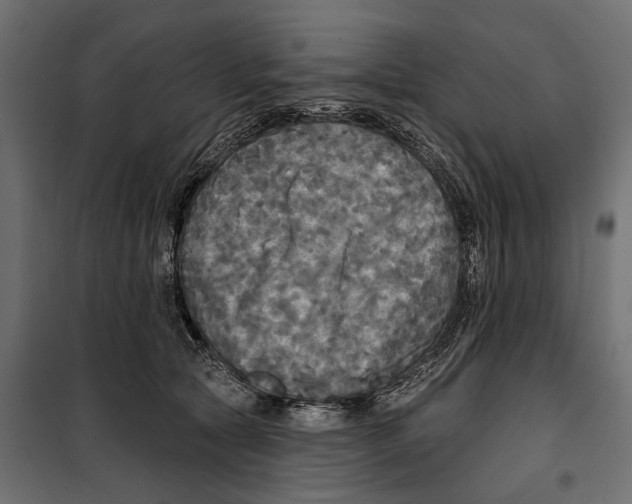 X0000099950561200806201316