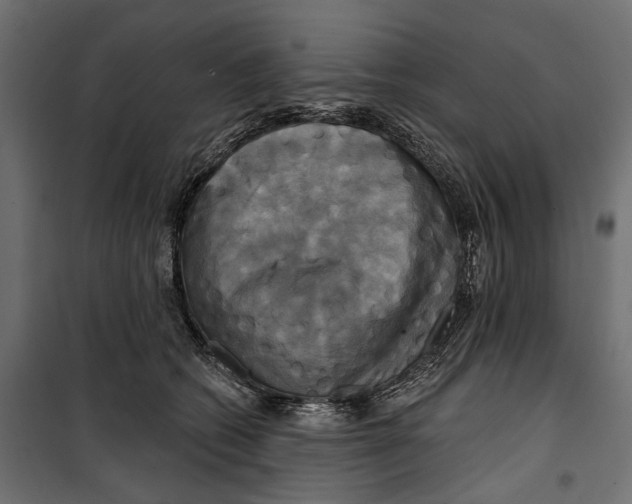 X0000099950562200806201316