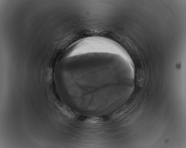 X0000099950563200806201316