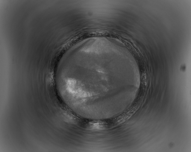 X0000099950564200806201316