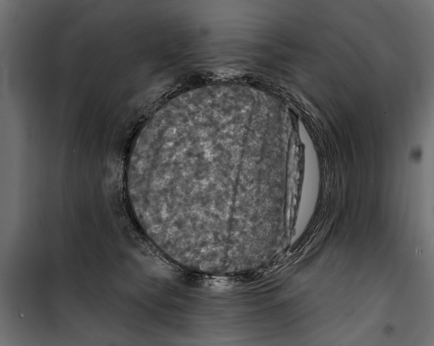 X0000099950565200806201316