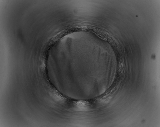 X0000099950566200806201316