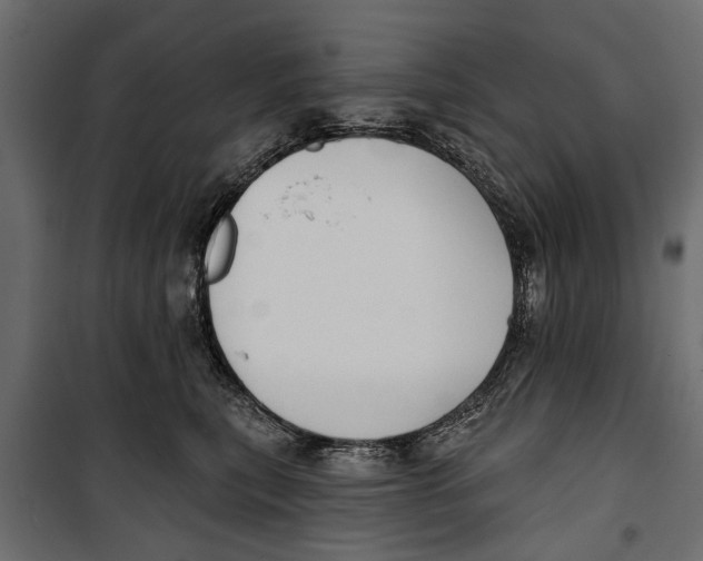 X0000099950567200806201316