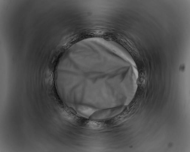 X0000099950568200806201316
