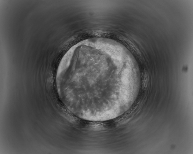 X0000099950569200806201316