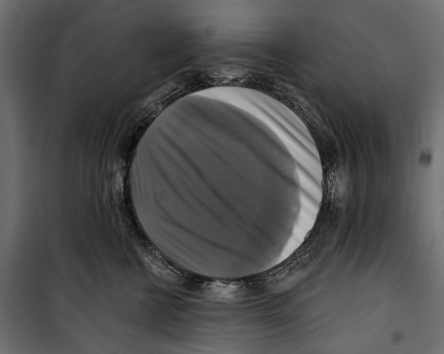 X0000099950570200806201316
